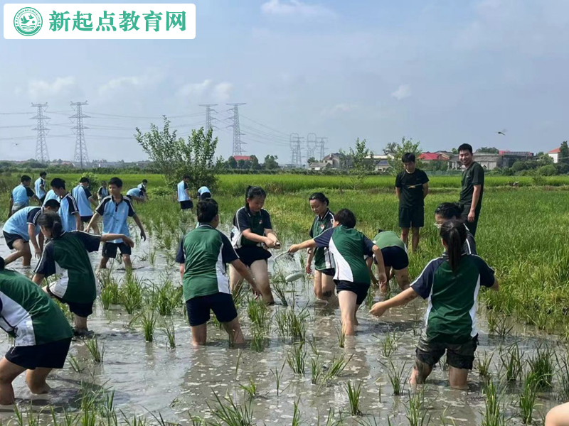 青少年叛逆改變學校組織抓魚活動 青少年叛逆改變學校組織抓魚活動